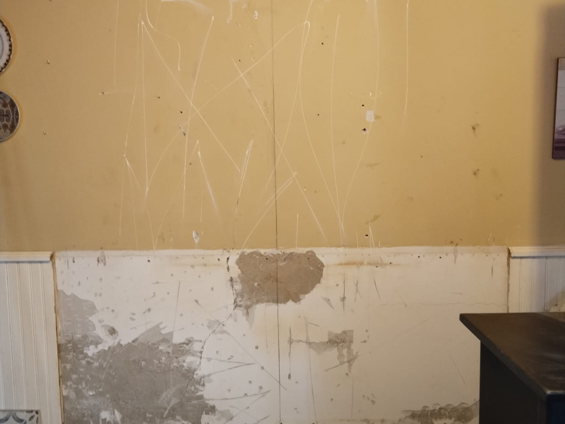 imagen_2026-02-24_141543684