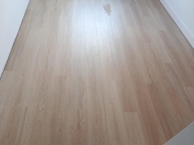 imagen_2026-02-24_141631854